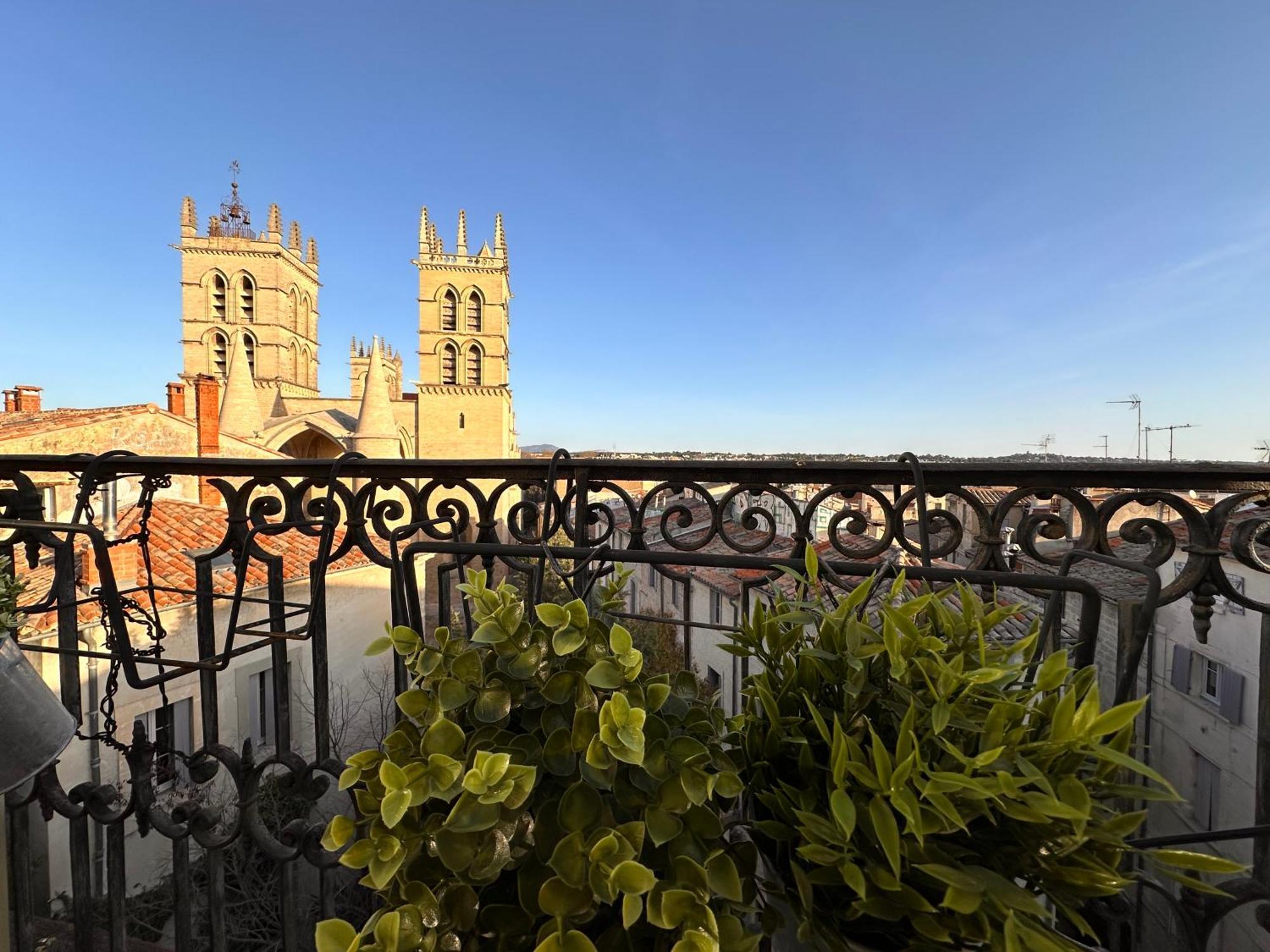 La Terrasse, Vue Sur Les Toits De Montpellier Apartment Exterior photo